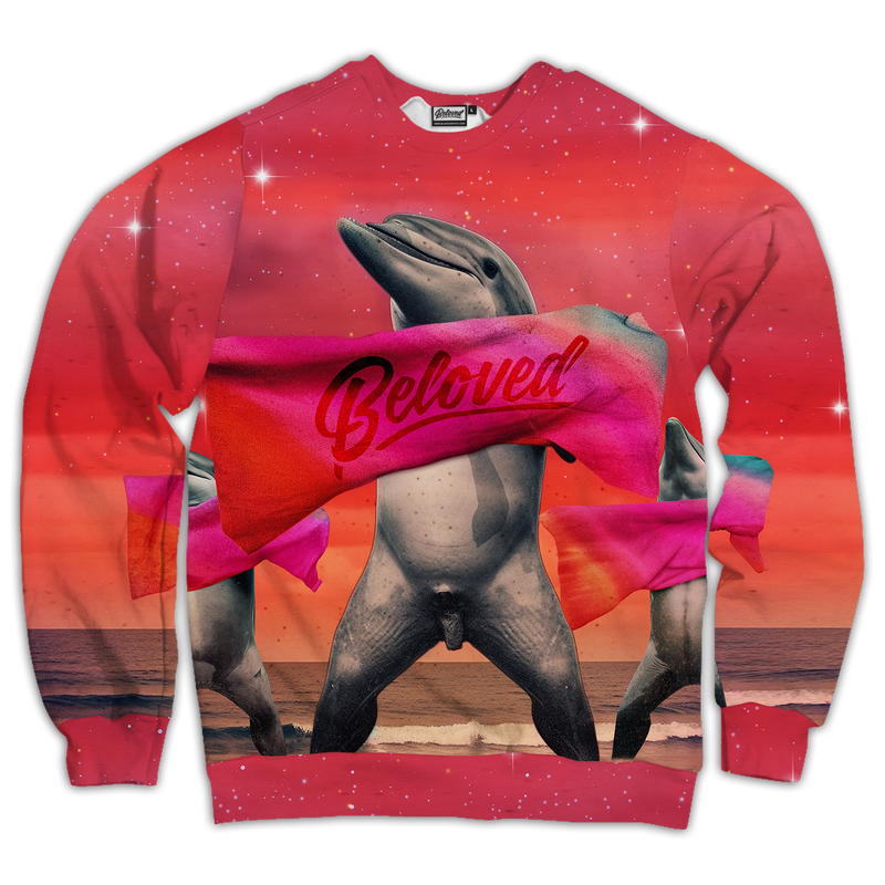 Beloved Dolphins Unisex Sweatshirt