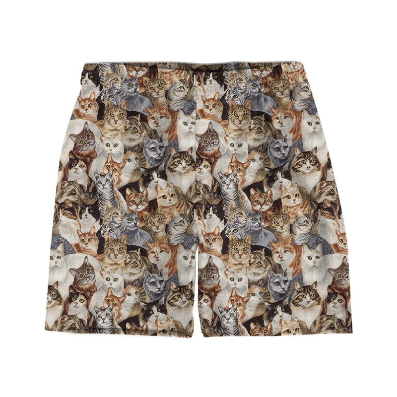Cats Weekend Shorts
