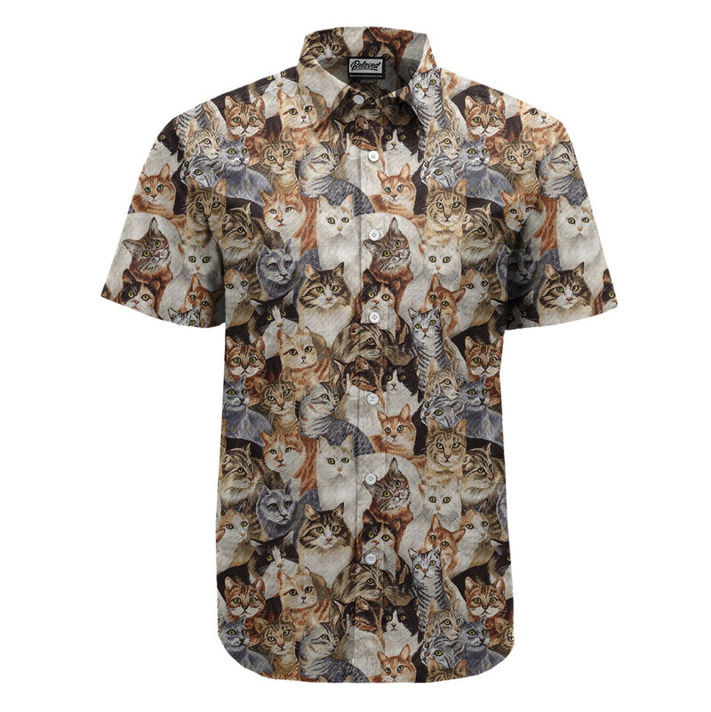 Cats Button Up