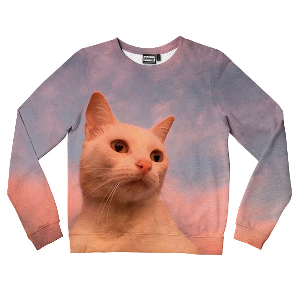 Thinking Cat Kids Sweatshirt