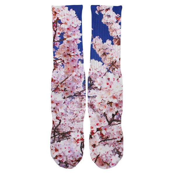Sakura Blossom Socks