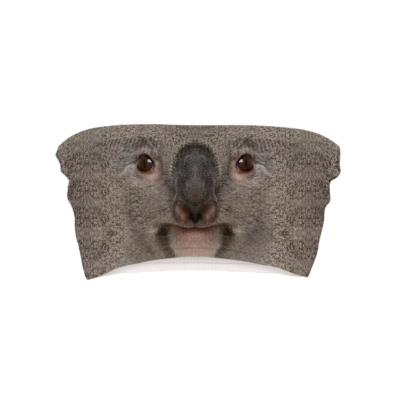 Koala Face Top Tube