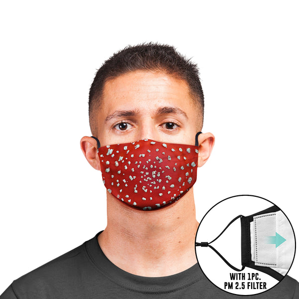 Fly Agaric Face Mask